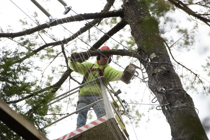 DINO RXT God arbeidsplass i kurven