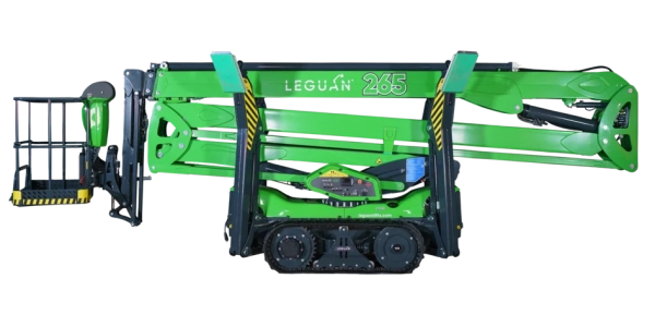 Leguan 265